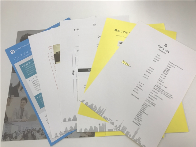 バイセルパンフレット